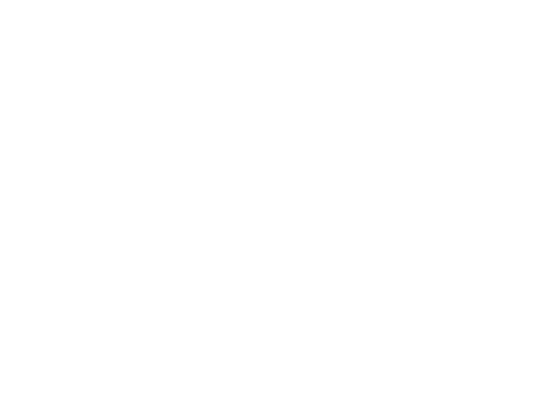 SAS Customer Intelligence 360